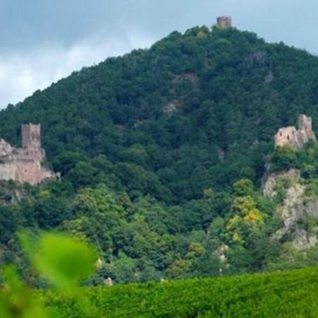 La Ferme Des Perles Noires Hotel Ribeauvillé Kültér fotó