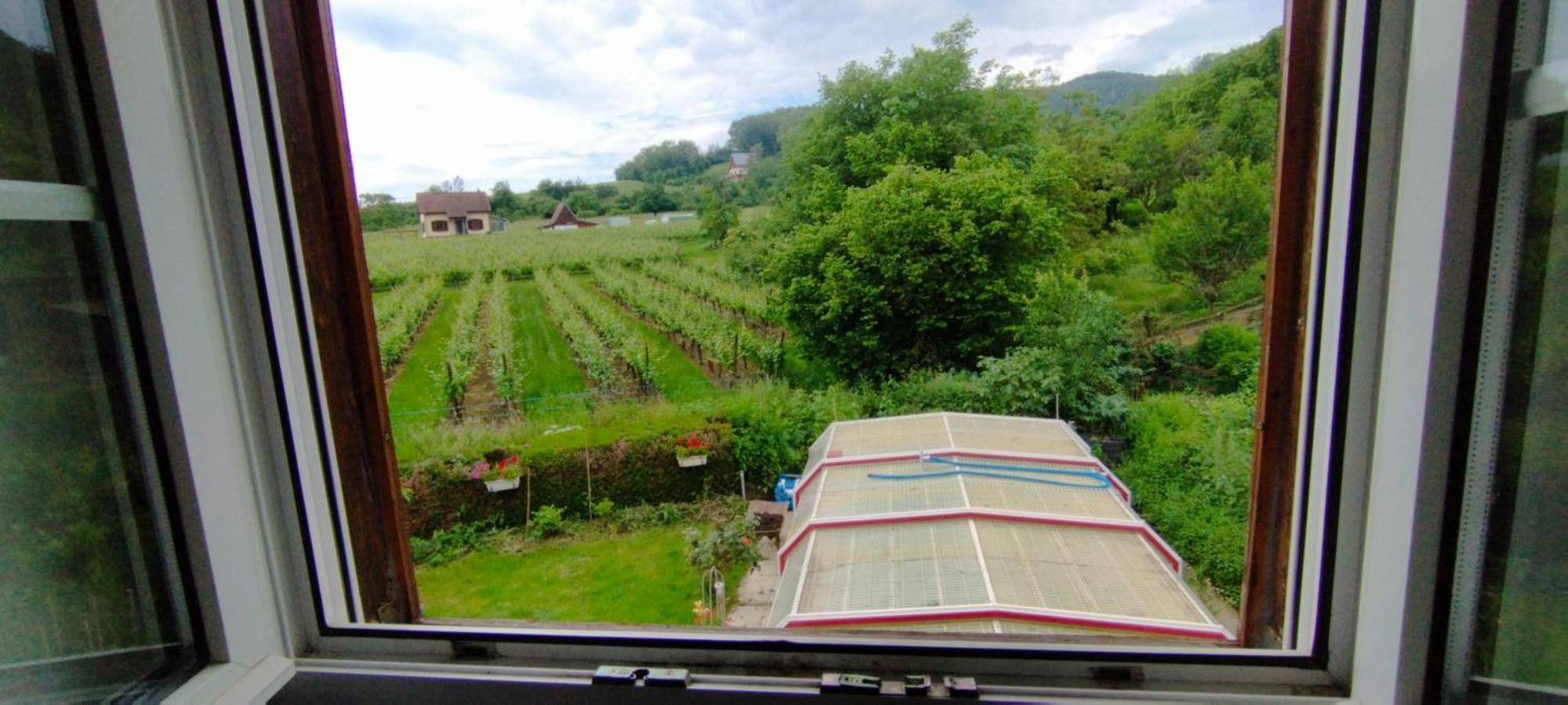 La Ferme Des Perles Noires Hotel Ribeauvillé Kültér fotó